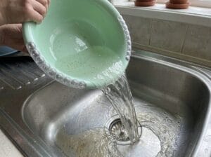 A light green bowl containing water for cleaning mussels